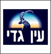 עין גדי